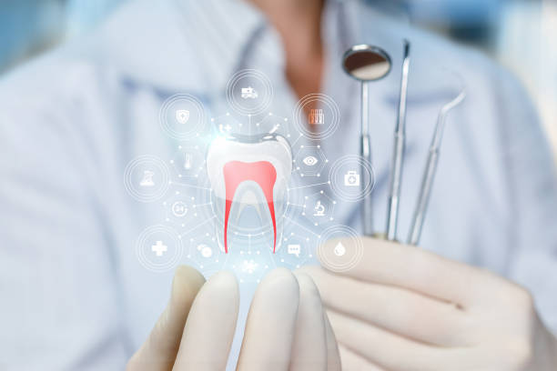 Why Choose Us for Your Dental Needs in Cedar Glen West, NJ